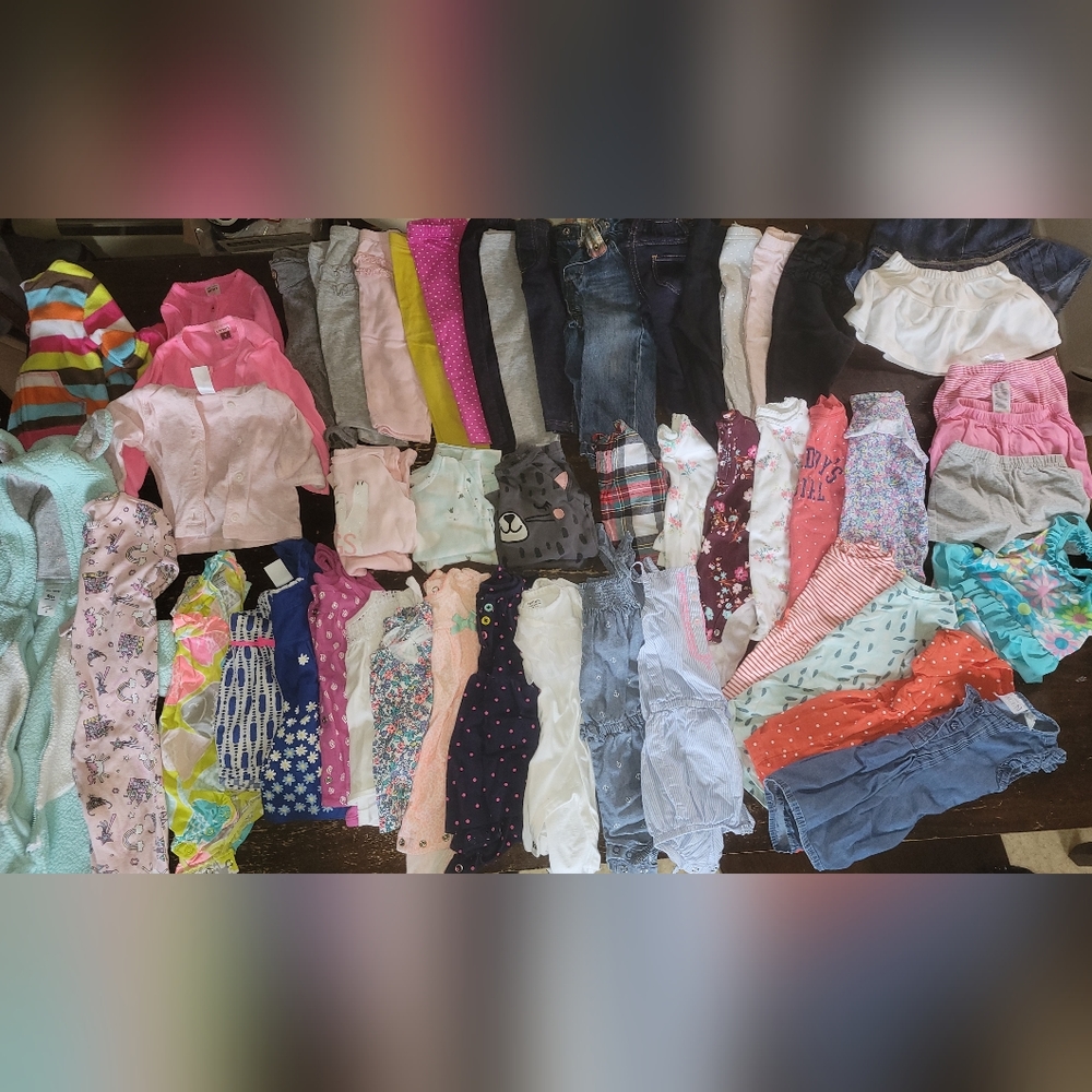 COPY - Baby Girl 9 / 9-12 Month Lot